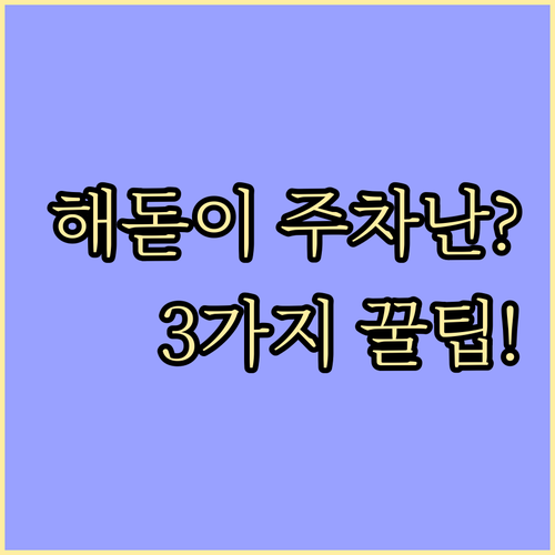 1월 1일 동해안 해돋이 주차난 피하..