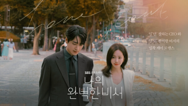 나의완벽한비서 (3)