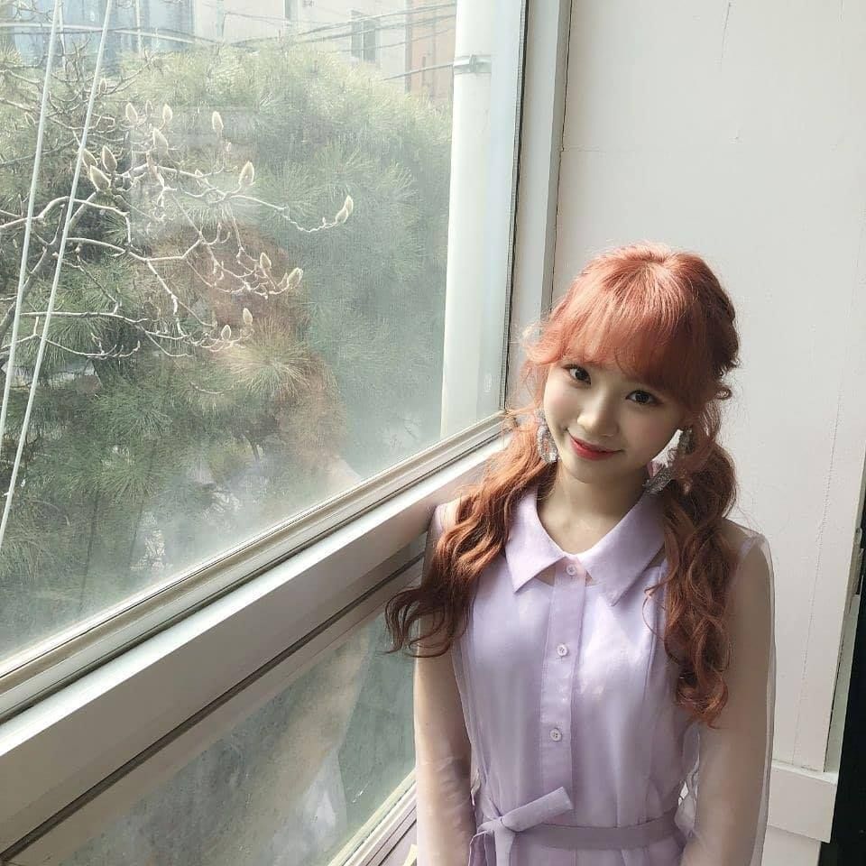 김채원 사진 모음