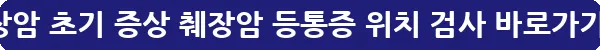 췌장암 초기 증상 췌장암 등통증 위치 검사_2