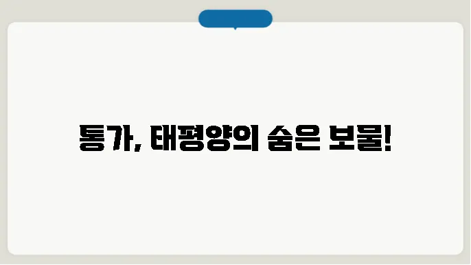 통가 역사, 문화, 위치