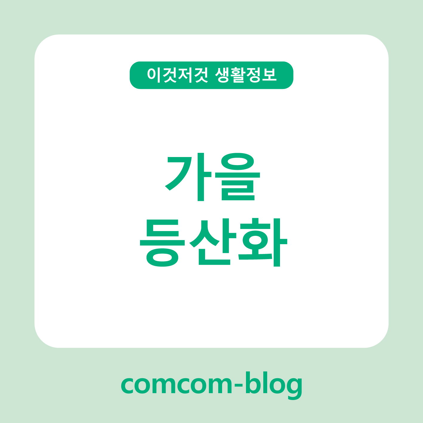 🍂 가을 등산화 완벽 가이드: 발끝까지 편안한 가을 산행 준비하기