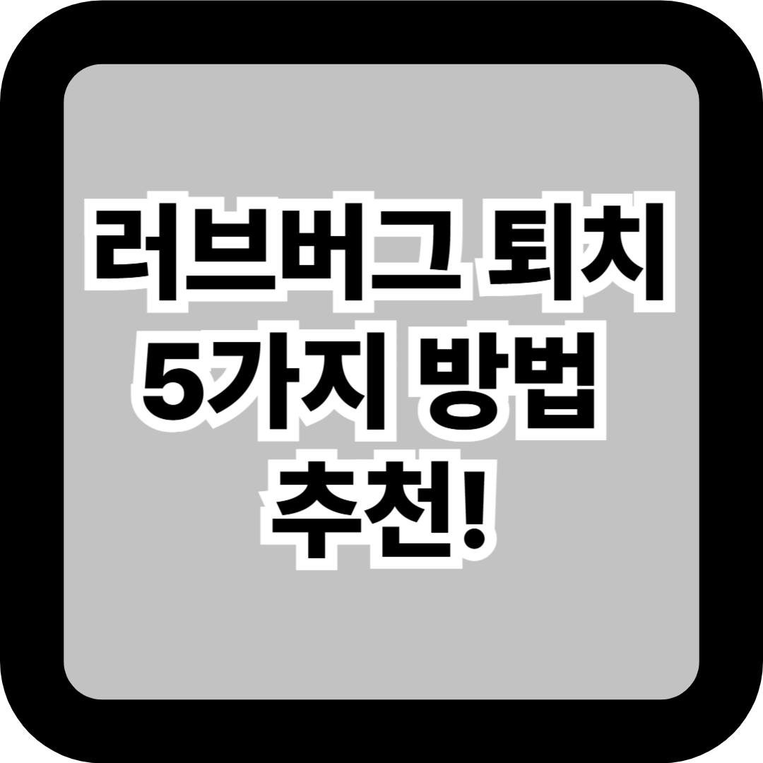 러브버그 퇴치 5가지 방법 추천! 실내 침입 막는 실전 방역 노하우 총정리