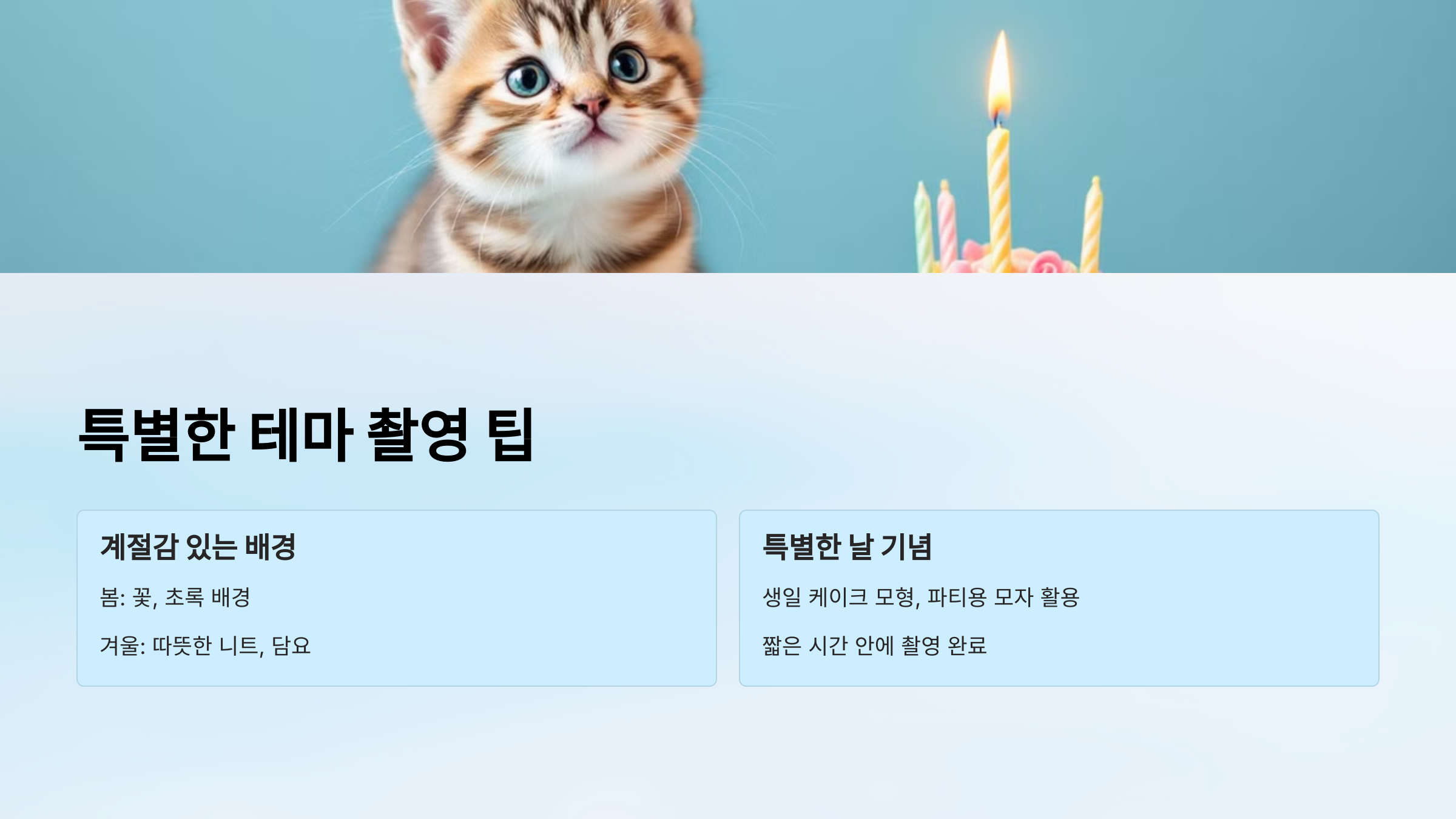 특별한 테마 촬영 팁