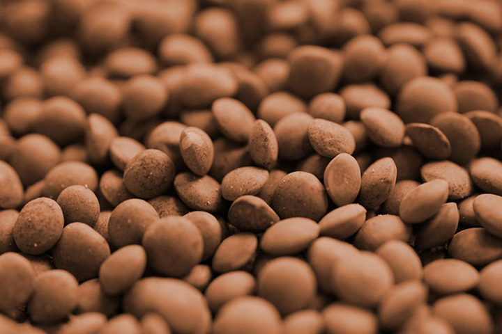 당뇨식단에 꼭 필요한 곡물 -렌틸콩