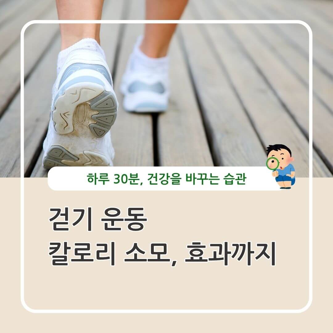 걷기 운동 효과