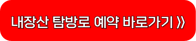 내장산-국립공원-예약-링크-버튼