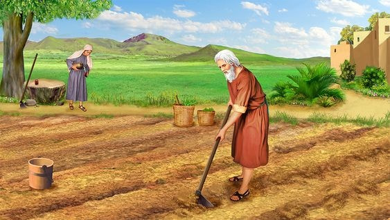 밭을 가꾸는 농부 사진