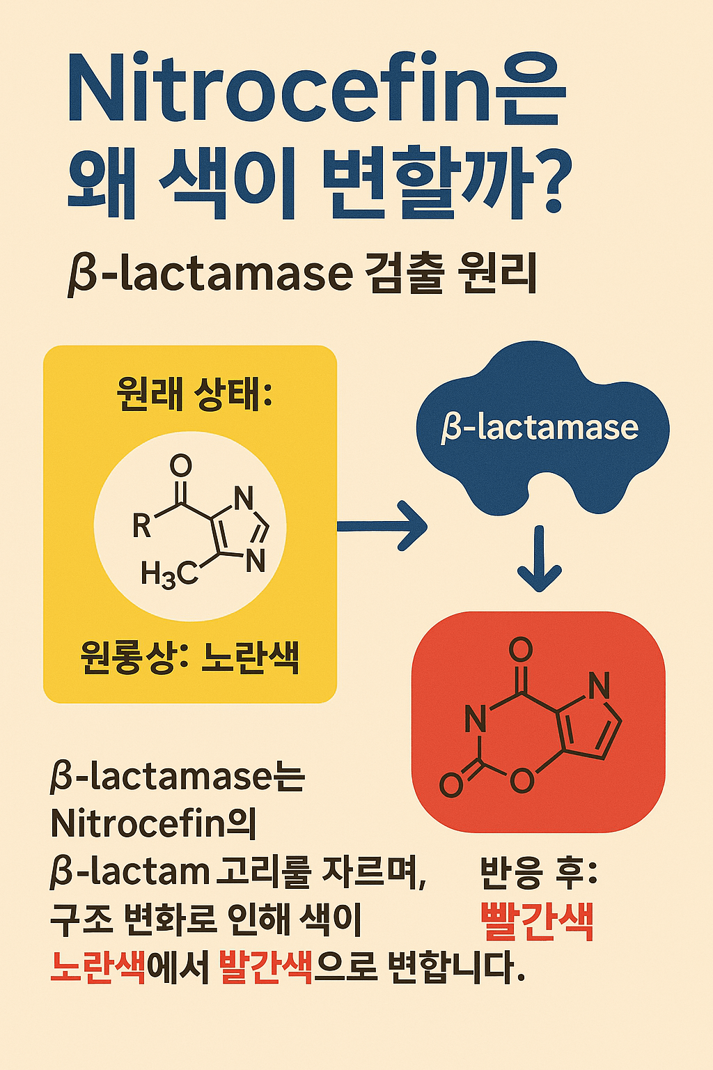 니트로세핀 색 변화 설명 인포그래픽
