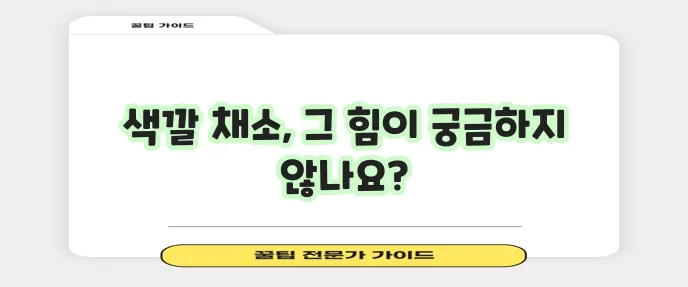 항산화 채소 종류 무엇이 가장 풍부할까요