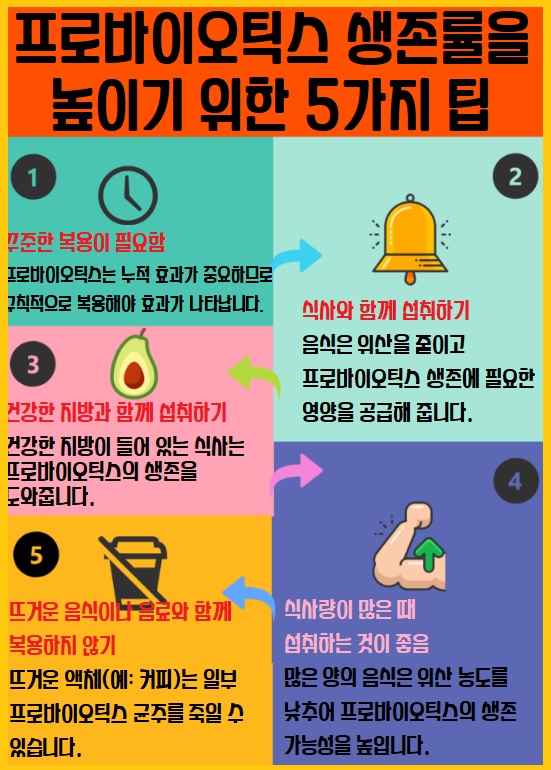 프로바이오틱스 생존율을 높이기 위한 팁