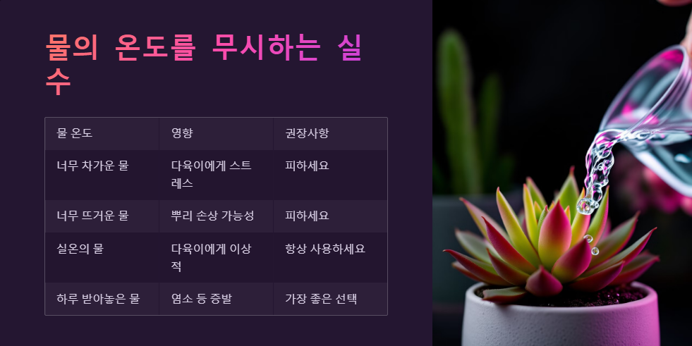 다육이 물주기 실수