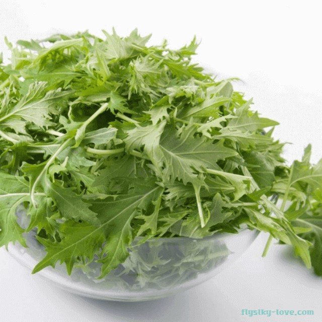 아삭아삭 식감이 좋은 경수채