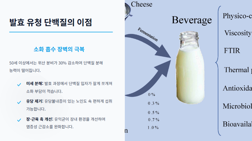 발효 유청 단백질의 이점을 나타낸 이미지