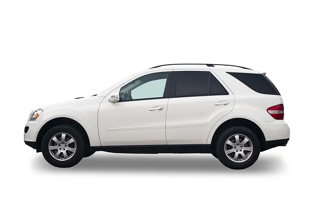 쌍용 suv 차량 종류 브랜드 가격_2