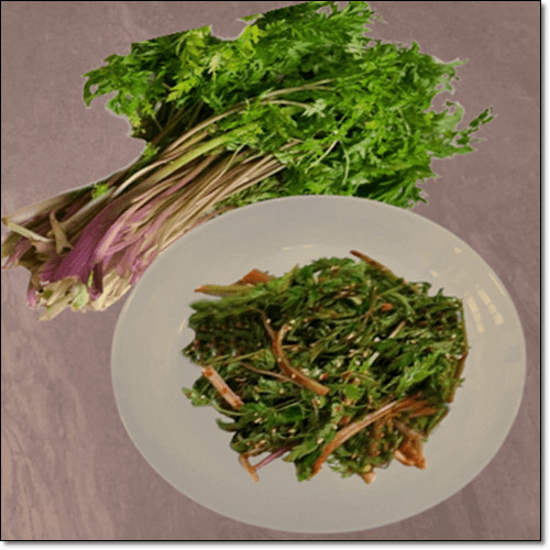 바디나물 전호 효능