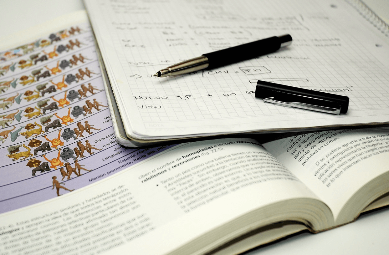 개념학습과 심화학습