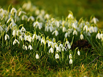 전립선암 초기증상 26