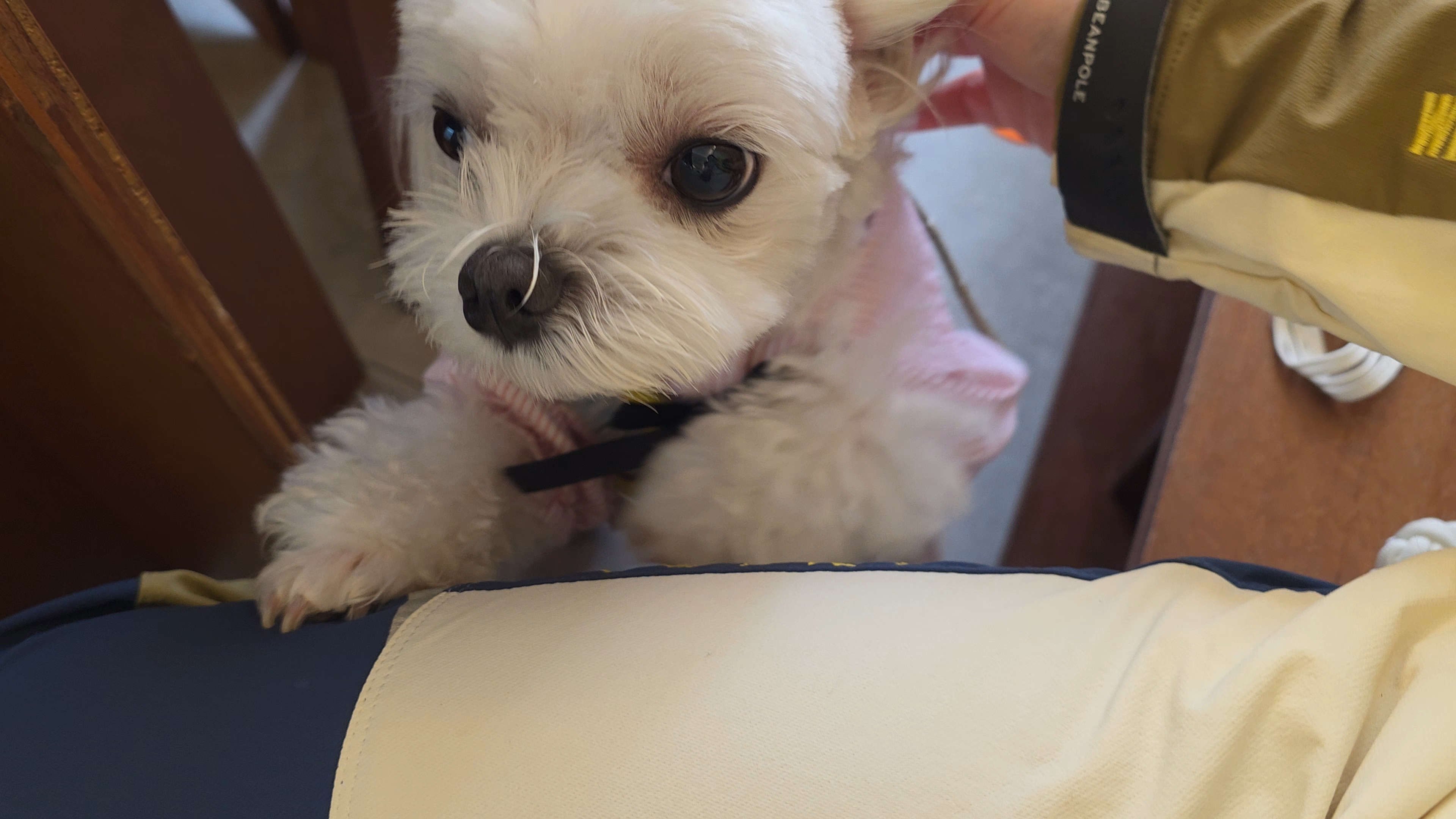 카페내 라떼 모습