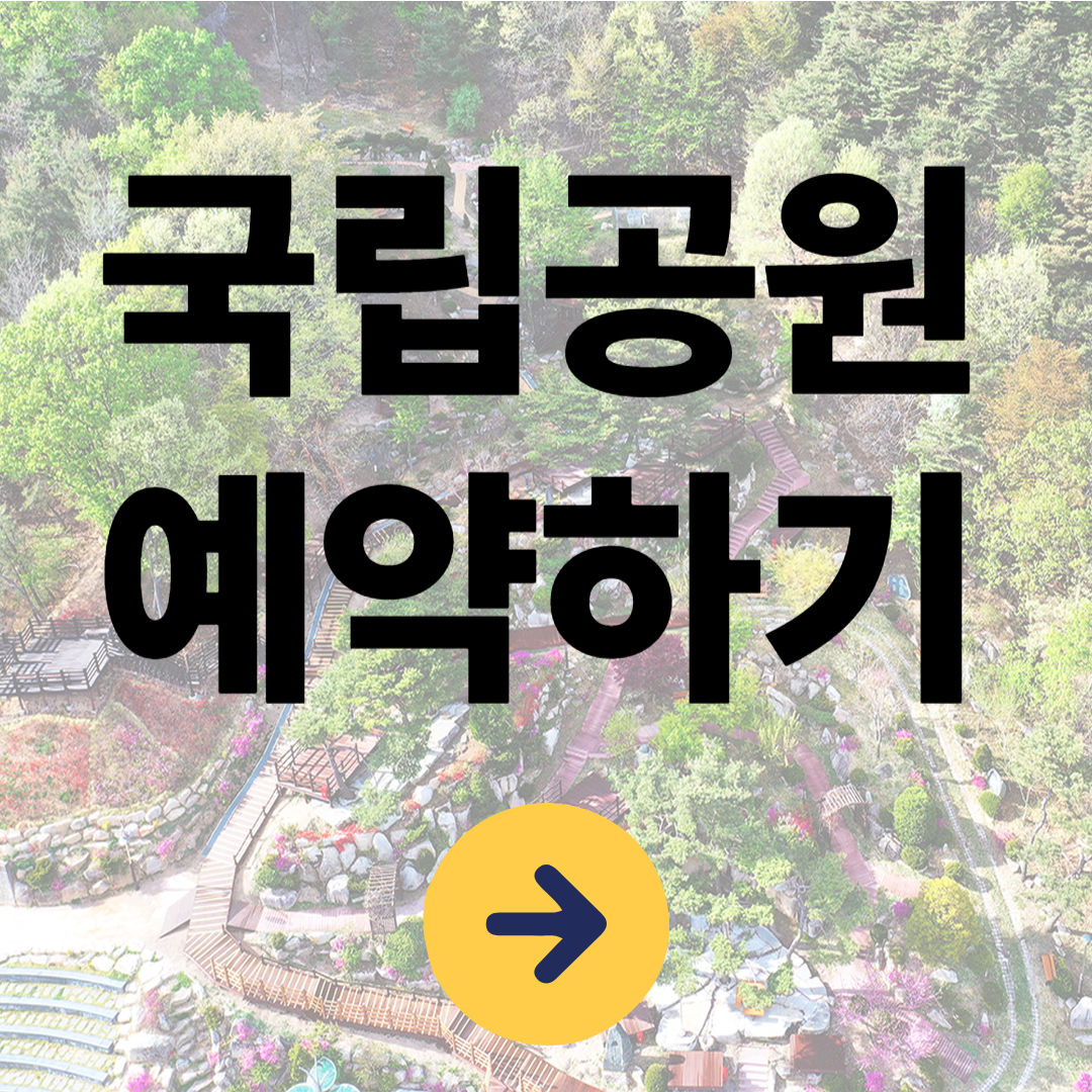 설악산 국립공원 야영장 예약방법