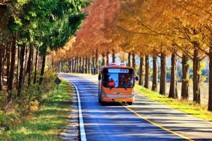 드라이브 꿈 해몽풀이 [무료 꿈해몽]