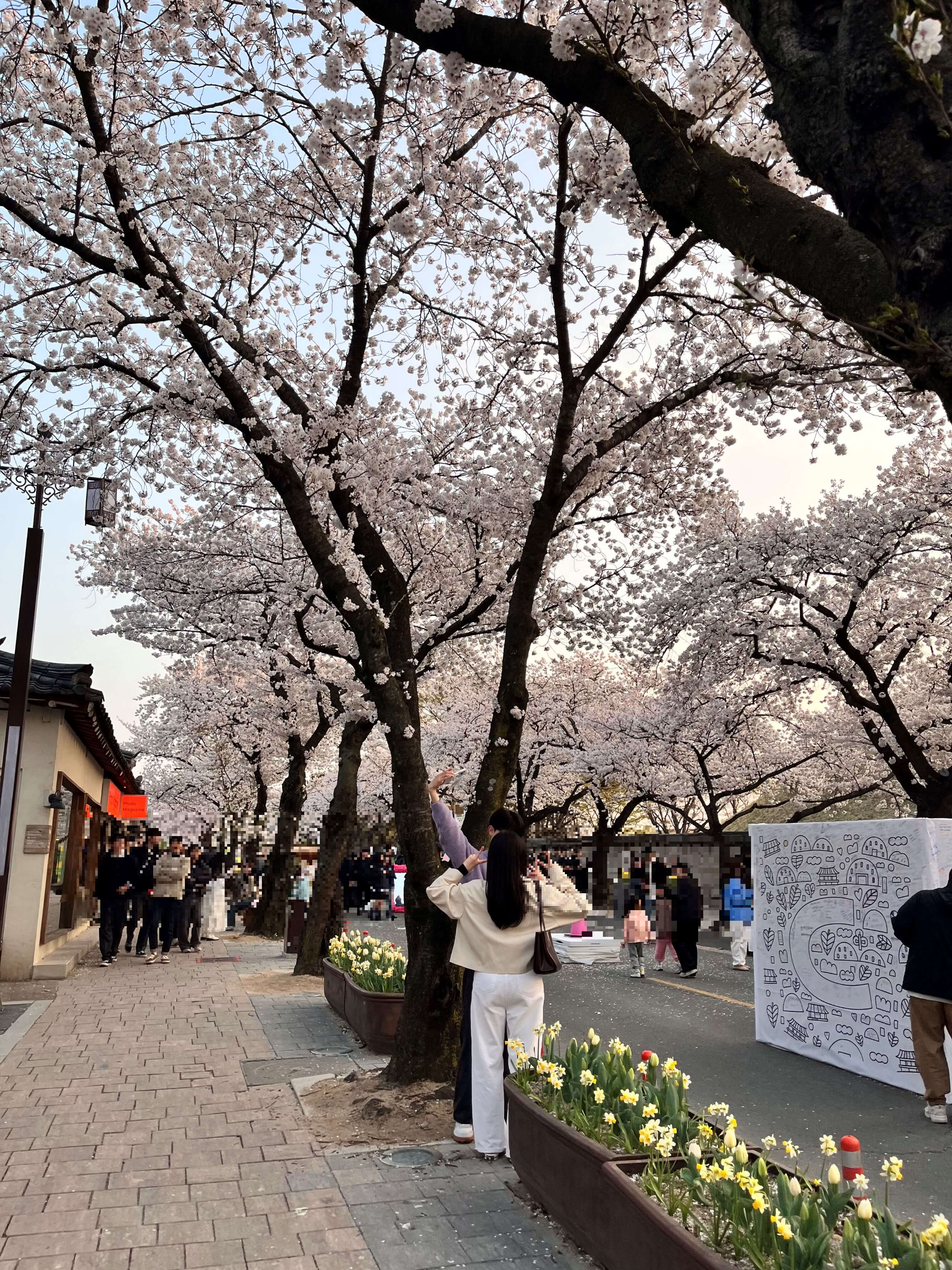 대릉원 돌담길 축제