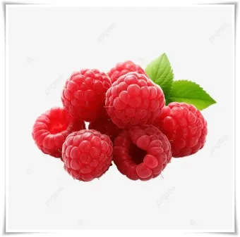 슈퍼푸드 라즈베리 산딸기 효능 섭취량 주의사항_13