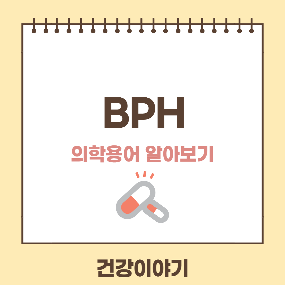 의학용어 BPH란