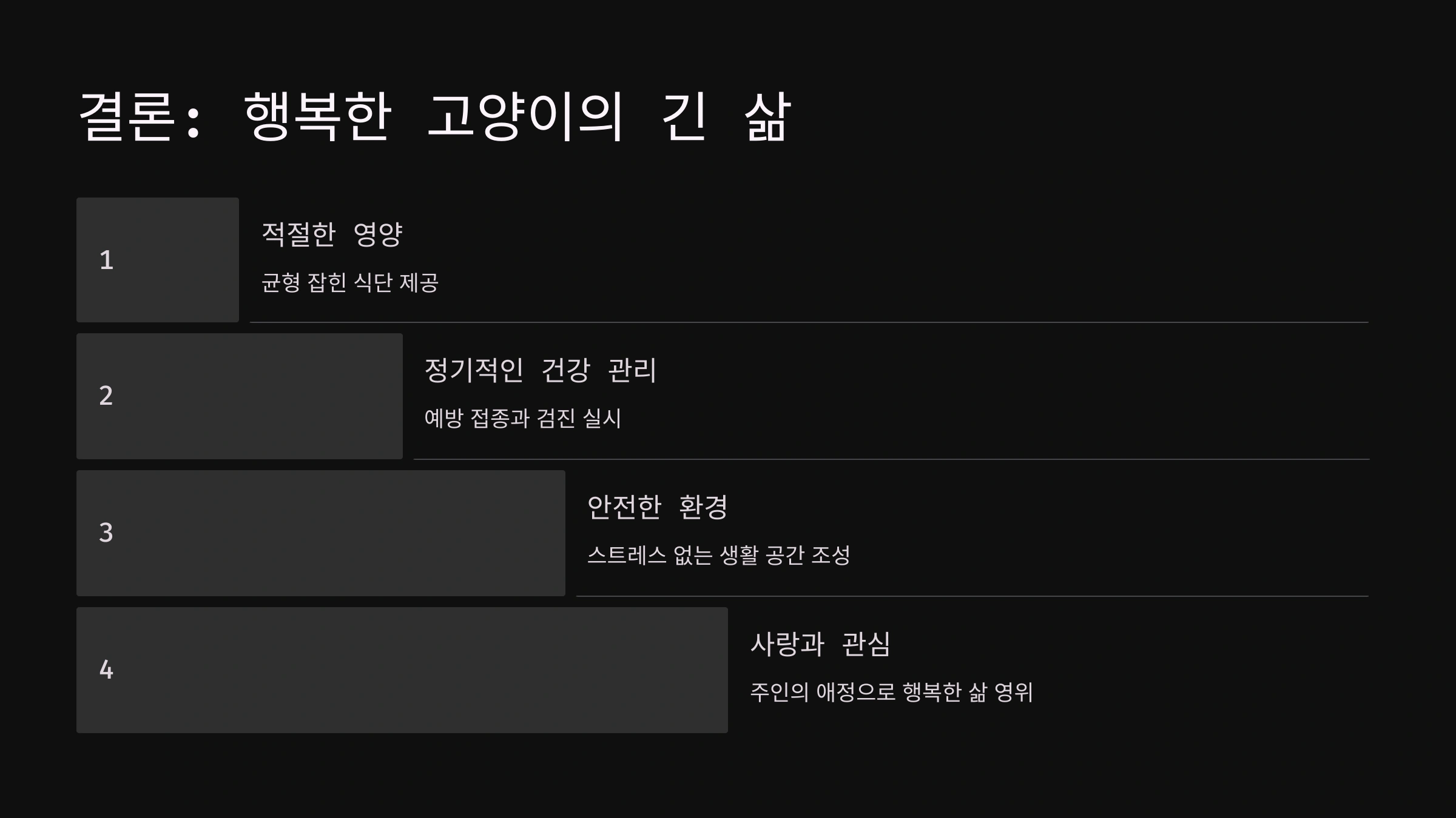 고양이의 평균 수명과 장수 비결