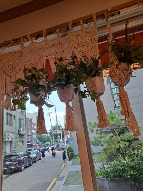 매장 창문위 화분들