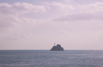 부산 태종대 수국축제
