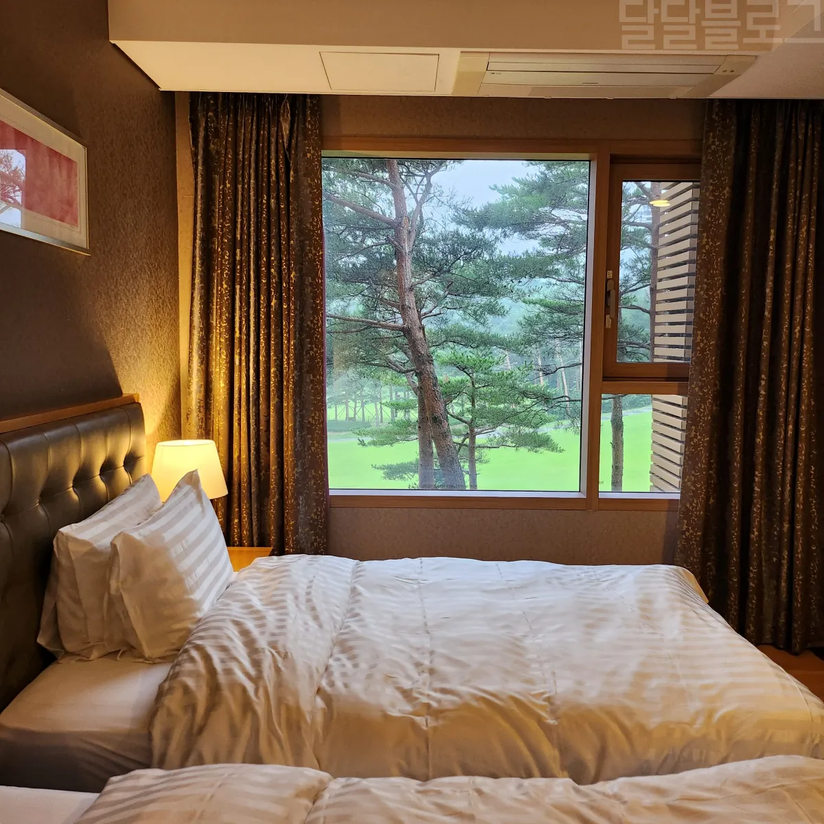 강원도-고성-가족여행-소노펠리체-빌리지-델피노-객실-뷰