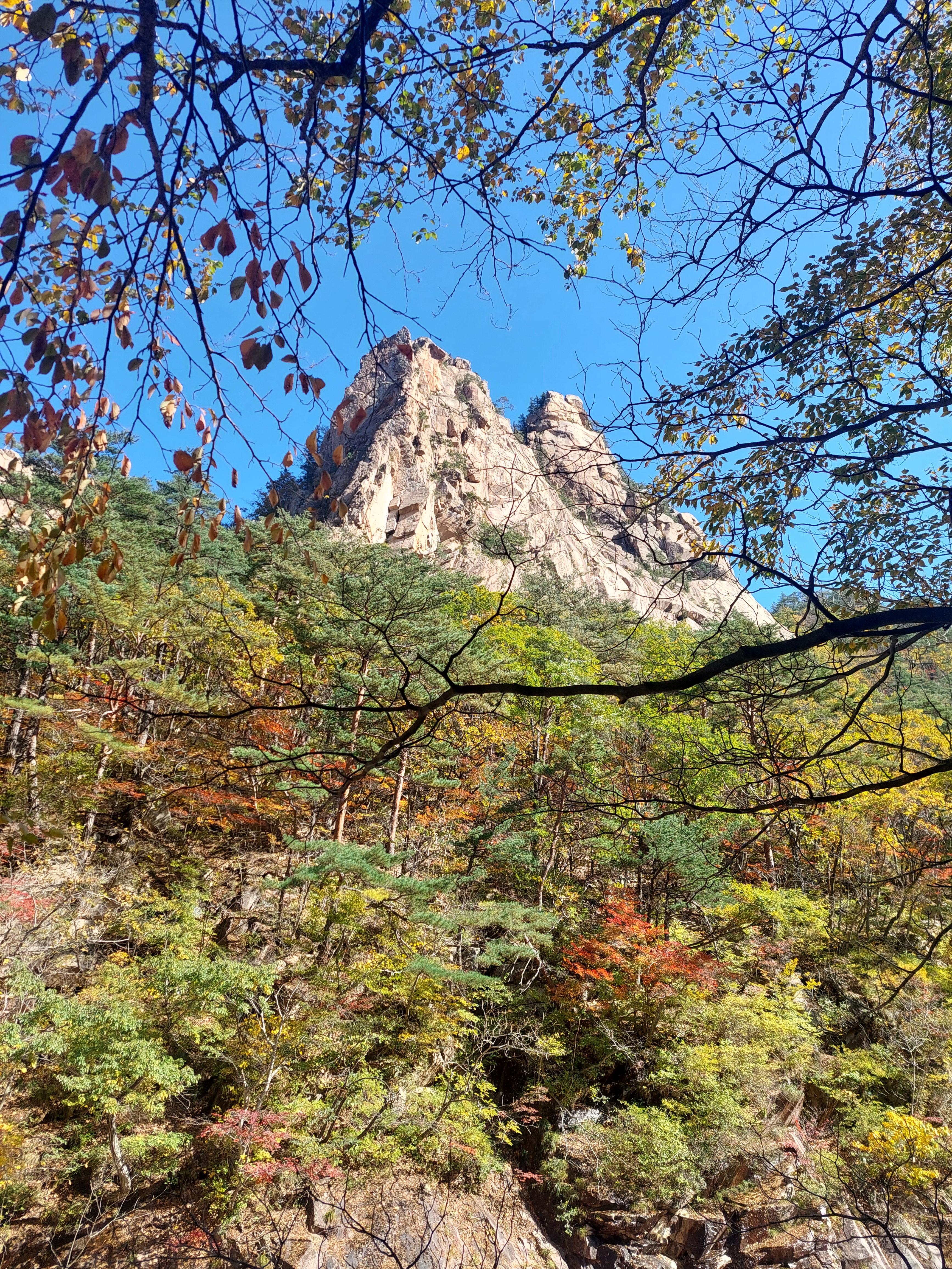 설악산