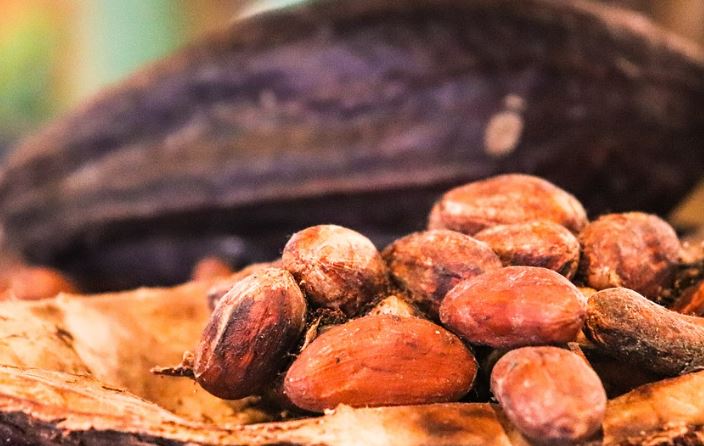 오메가-3 지방산이 풍부한 식품