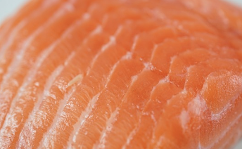 강아지 보양식 재료 추천 및 간단하게 만드는 방법 2가지