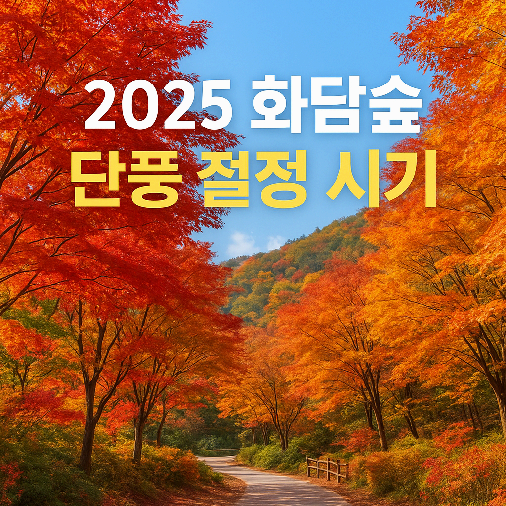 화담숲단풍