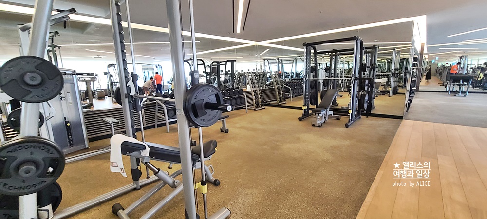 호캉스 추천 롯데호텔 부산 야외 수영장 오픈 무료 입장방법 kkday 1만원 할인쿠폰