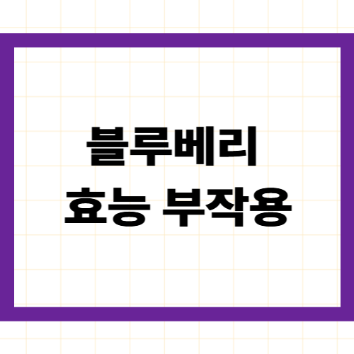 블루베리 효능 부작용(영양성분·먹는법·보관법)