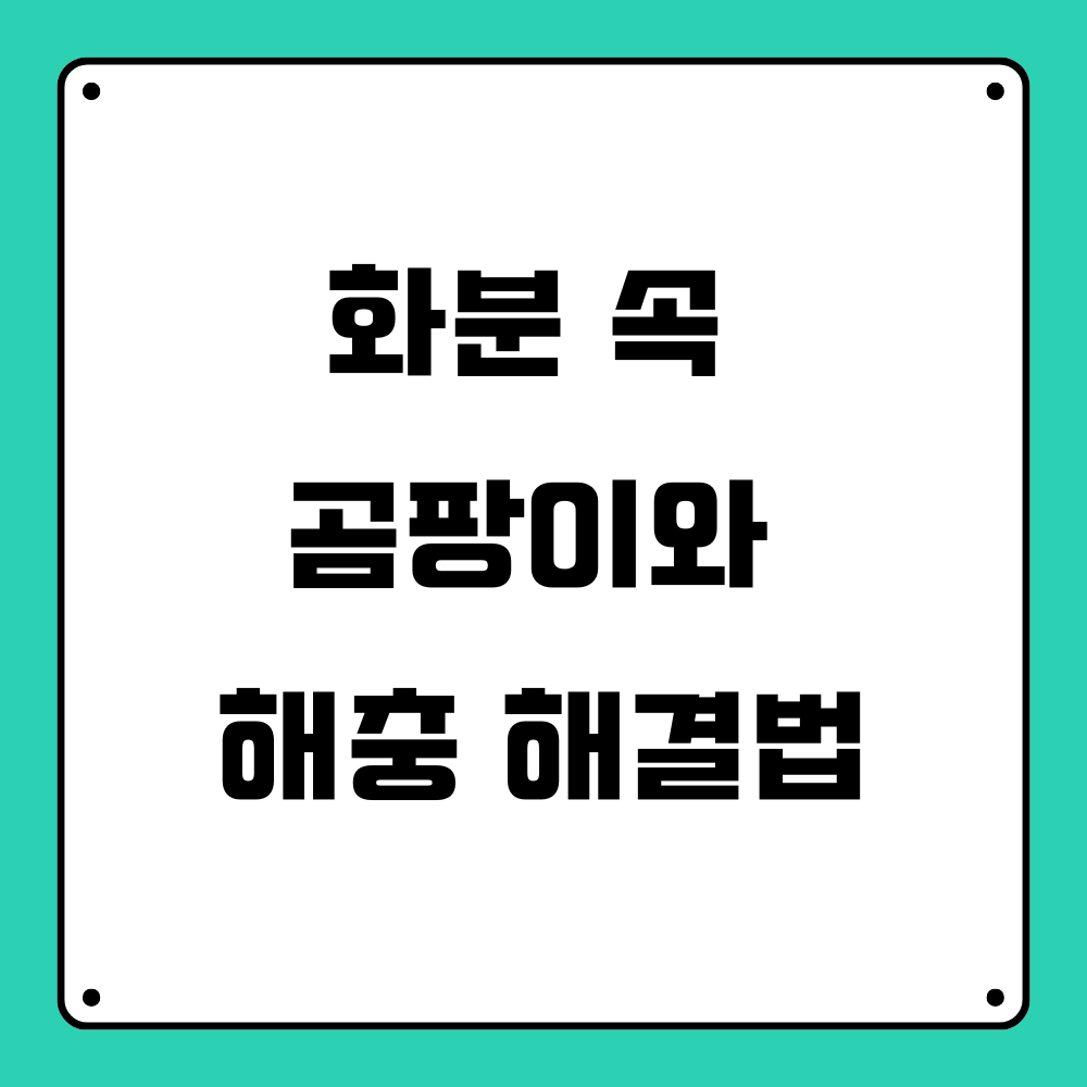 화분 속 곰팡이와 해충 해결법