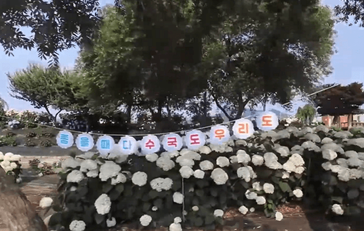 공주 수국 축제