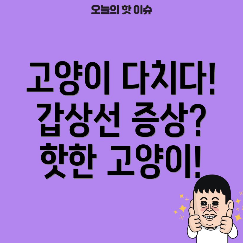 고양이 갑상선 기능 항진증