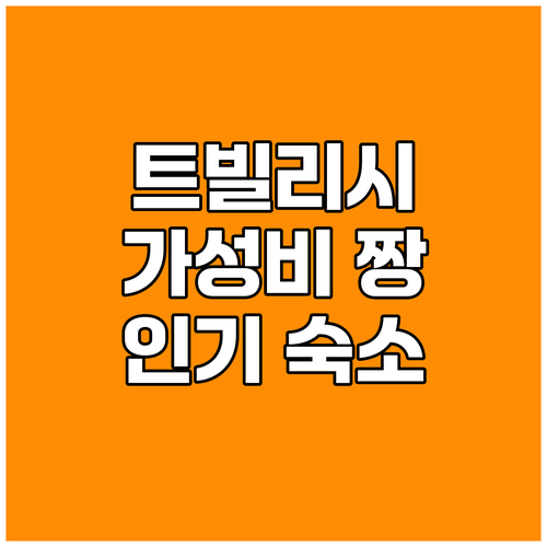 트빌리시 ibis Styles 가성비