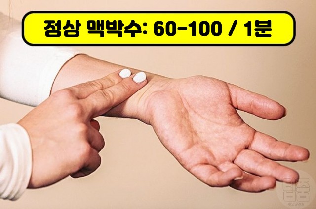 심장 건강 테스트, 맥박수 정상, 부정맥, 팁줌