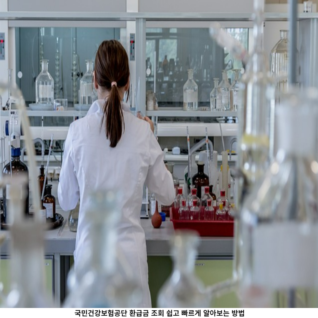 국민건강보험공단 환급금 조회 방법