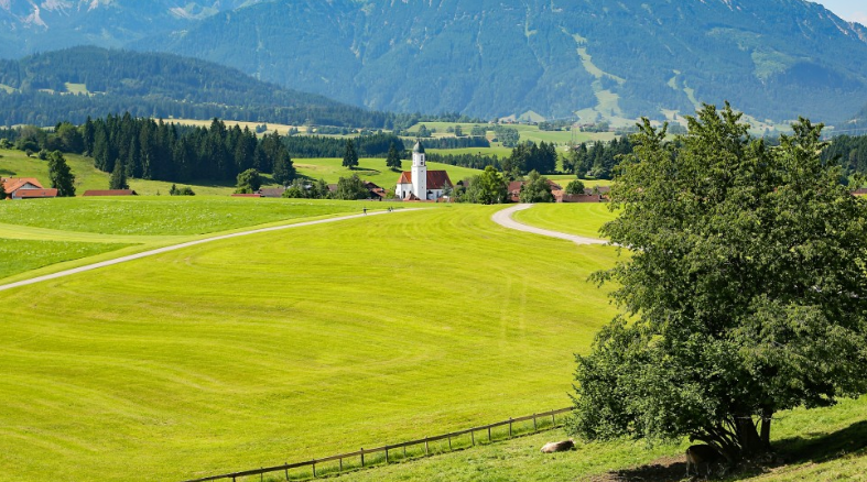 농민수당 신청 자격 및 방법