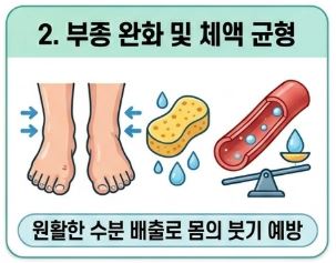 알부민 복용시간