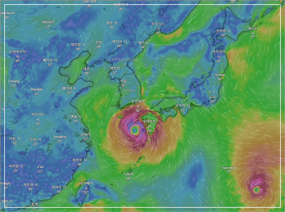 실시간 태풍 위치 확인(2023년 8월 9일 14시 상황, 이미지 Windy)