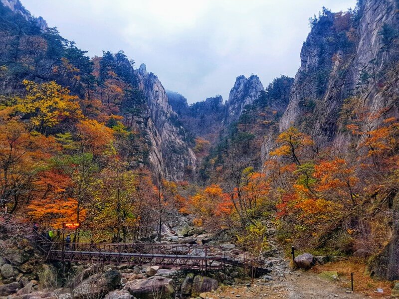 가을 단풍여행 꼭 가볼한 곳 베스트 5 여기는 꼭 가보세요!