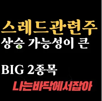 스레드 대장주 관련주 TOP5_17
