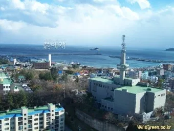 초저조도 식물 추천 빛부족집 관리요령 물주기간격 식물등활용_13